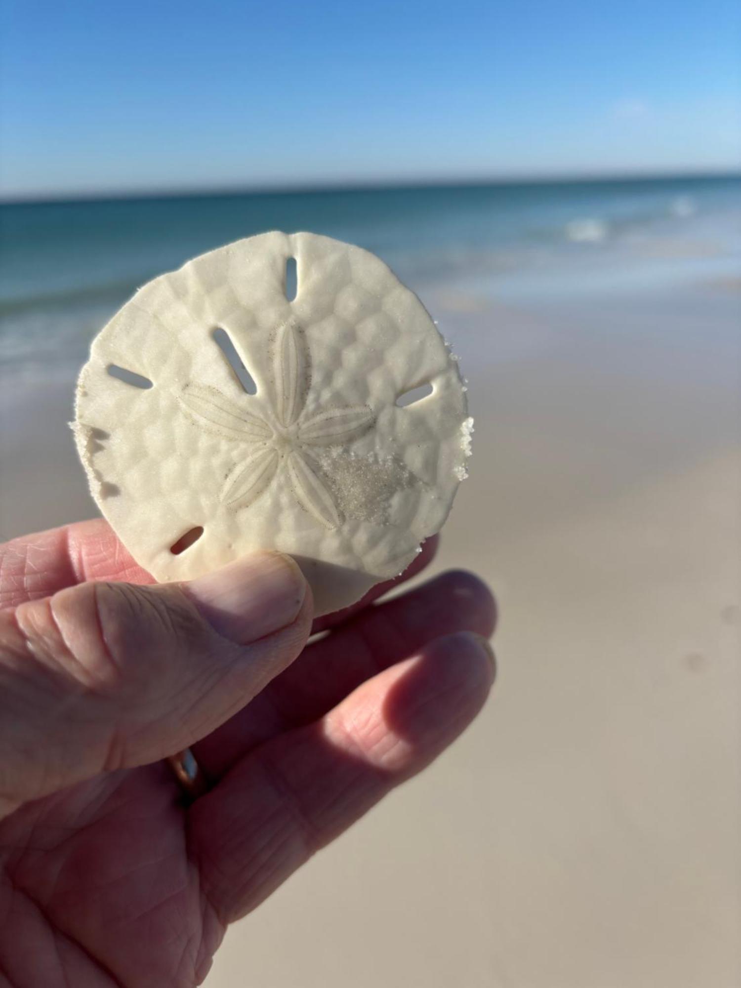 Waterscape White Sands شاطئ فورت والتون المظهر الخارجي الصورة